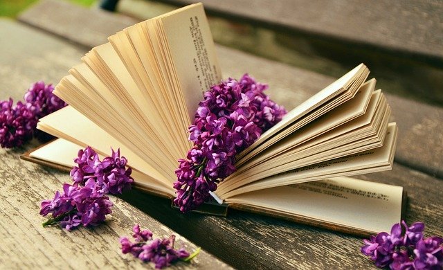 Read more about the article 그림책과 함께하는 마음 여행